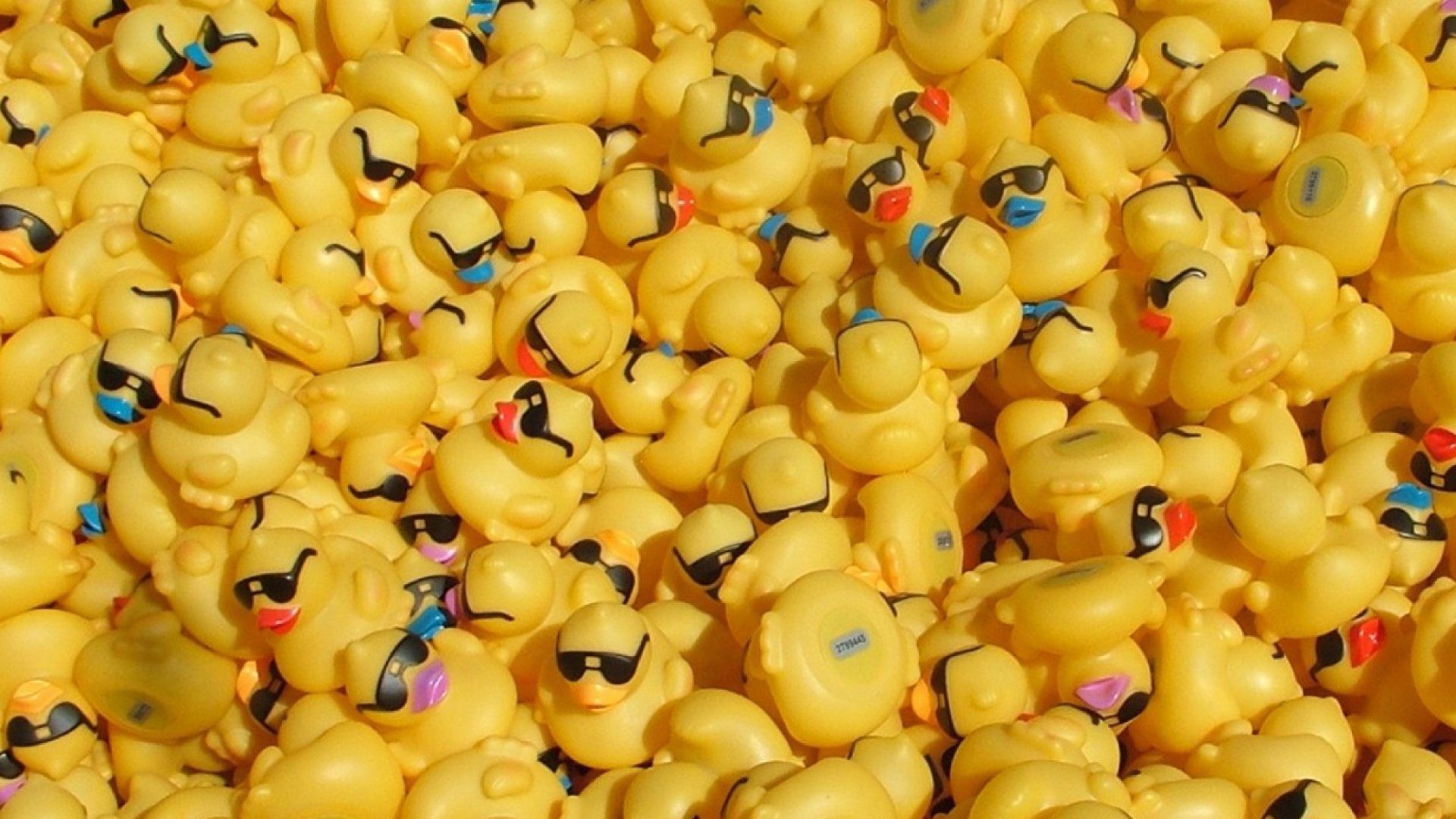 Hundreds of yellow rubber ducks