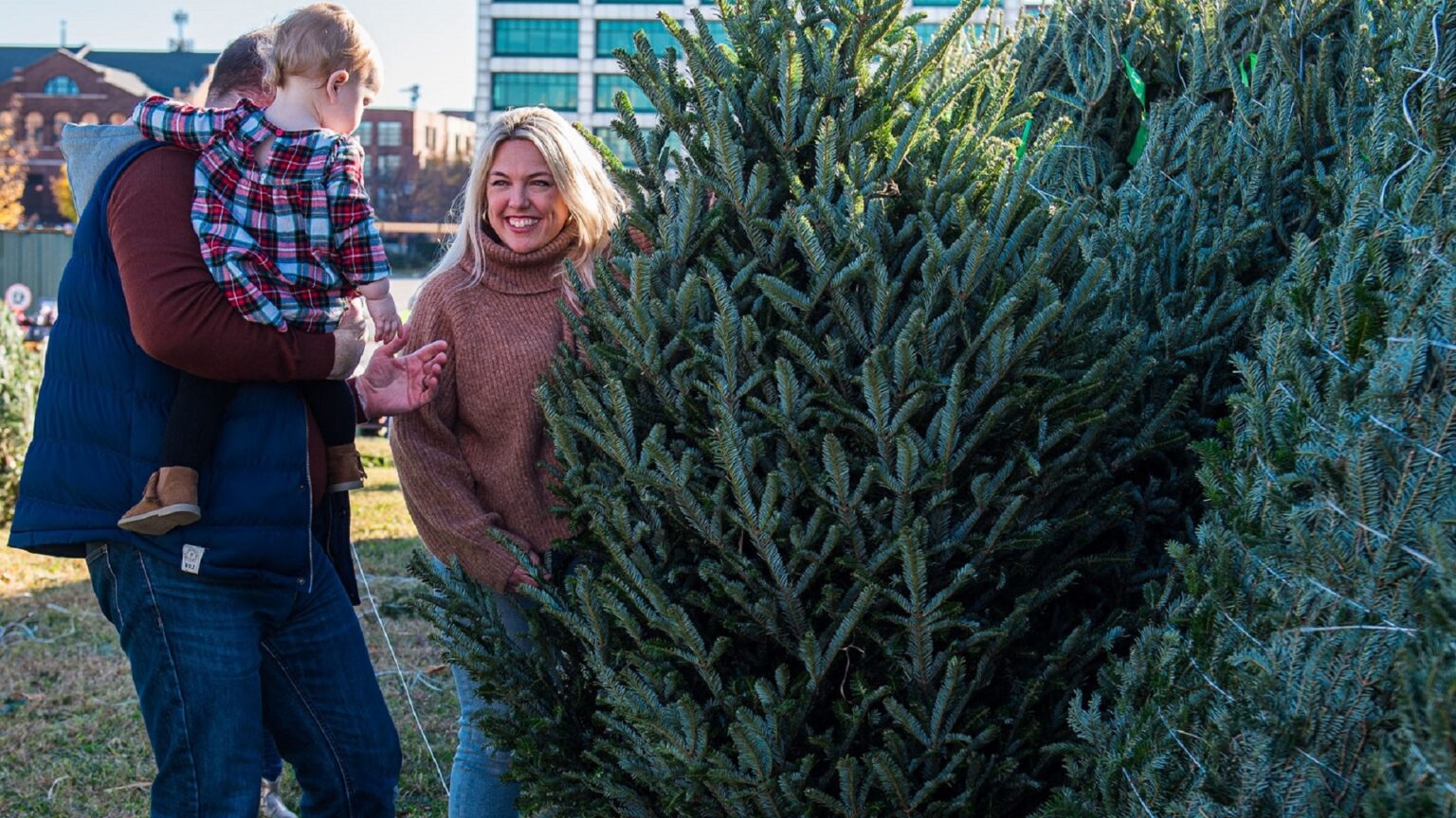 Christmas Tree Lane Waterfront Park